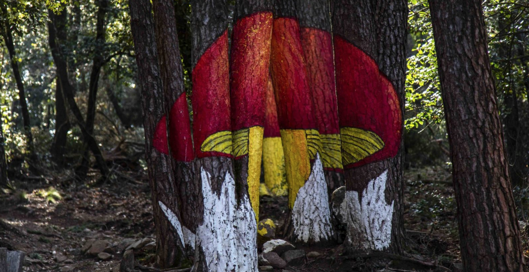 Ruta por el bosque pintado de Poblet